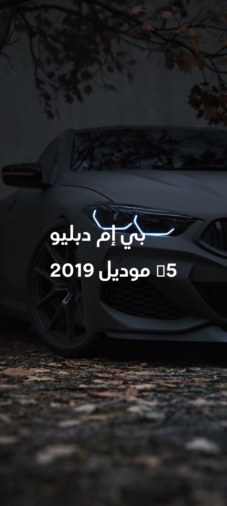 6-بي-إم-دبليو-X5-موديل-2019